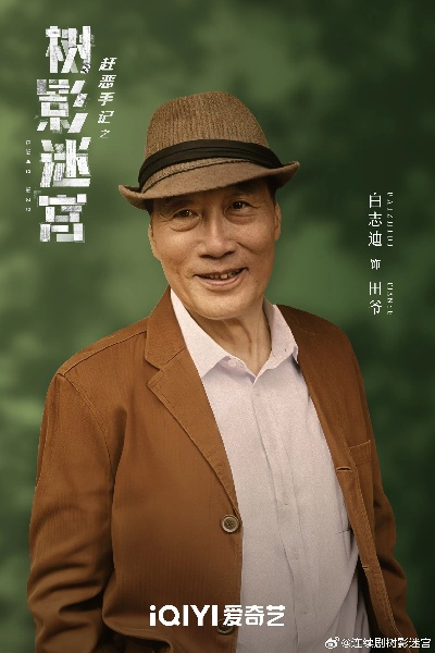 树影迷宫电视剧免费高清观看全集（树影迷宫，电视剧免费高清观看全集的魅力）