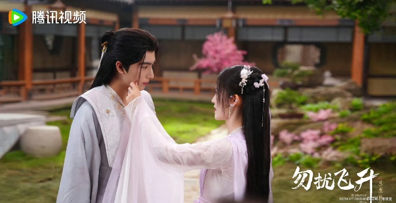 勿扰飞升电视剧全集在线观看免费（勿扰飞升电视剧全集在线观看免费—深度解析与观剧指南）