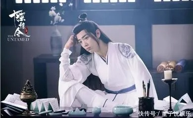 陈情令免费观看全集完整版（陈情令全集免费观看，完整版的魅力与故事）