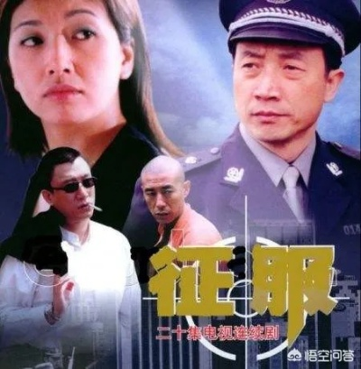 征服电视剧免费观看全集（征服电视剧全集免费观看攻略）