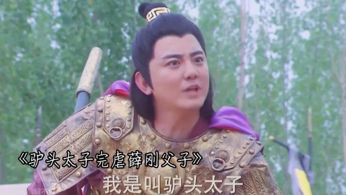 武媚娘大战驴头太子全集免费观看（武媚娘大战驴头太子全集免费观看，历史与戏剧的完美结合）