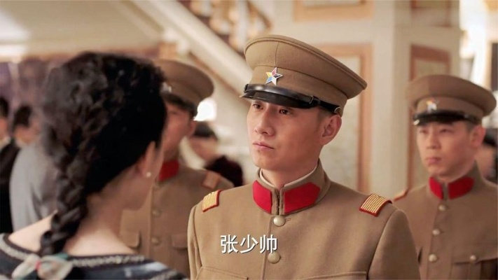 少帅电视剧全集免费观看（少帅电视剧全集免费观看，历史与现代的交汇点）