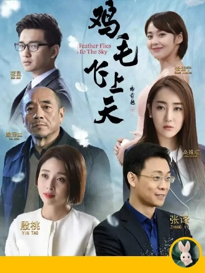 鸡毛飞上天电视剧全集观看免费（免费观看电视剧鸡毛飞上天全集）
