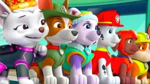 汪汪队动画片全集免费观看（汪汪队动画片全集免费观看，孩子们的超级英雄梦工厂）