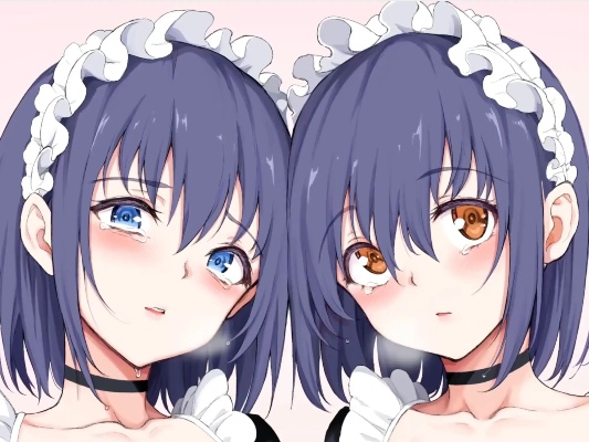 《枫与铃》全集动漫免费看（枫与铃全集动漫，免费观看的梦幻之旅）