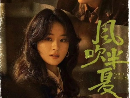 风吹半夏电视剧在线观看全集免费（风吹半夏，一部值得观看的电视剧，在线观看全集免费）