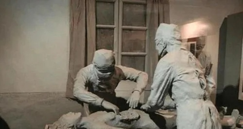 电影731免费观看全集（电影731免费观看全集，揭秘历史背后的真相）