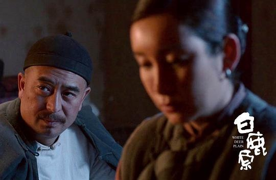 白鹿原电视剧免费全集在线观看（白鹿原电视剧免费全集在线观看，深度解读与体验）