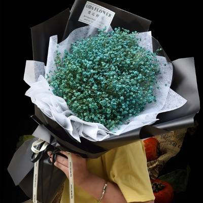 满天星在线观看全集免费播放（满天星在线观看全集免费畅享）