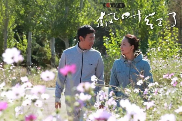 野花香电视剧完整版高清（野花香电视剧完整版高清，自然之美与情感的交织）