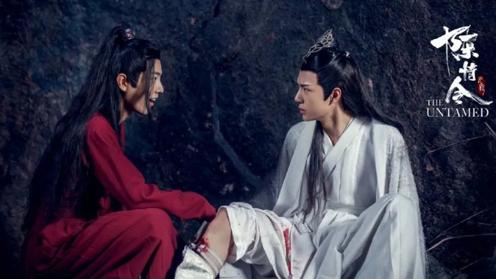 陈情令免费观看全集完整版（陈情令全集免费观看，完整版的魅力与故事）