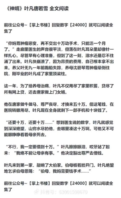 叶凡唐若雪小说全文免费阅读完整版（叶凡唐若雪，一部引人入胜的小说，免费阅读完整版）