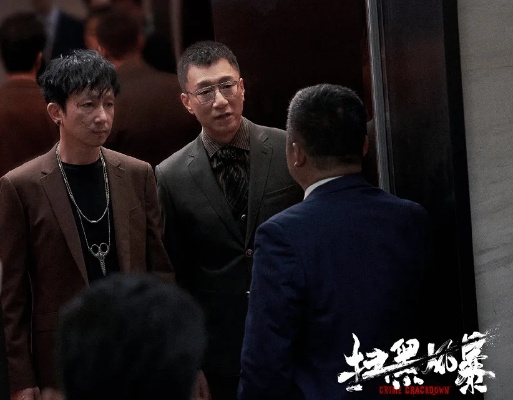 扫黑风暴电视剧在线观看免费完整版（扫黑风暴电视剧在线观看免费完整版，深度剧情体验与真实扫黑历程的完美结合）