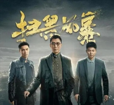 扫黑风暴电视剧在线观看免费完整版（扫黑风暴电视剧在线观看免费完整版，深度剧情体验与真实扫黑历程的完美结合）