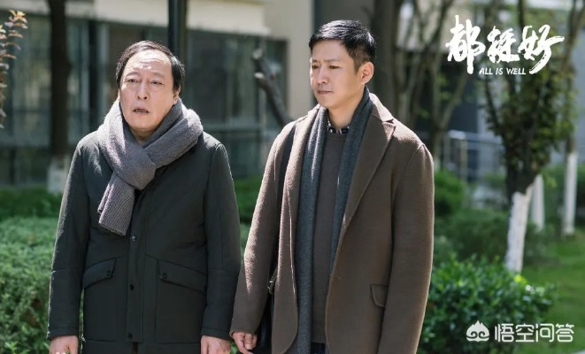 都挺好电视剧免费观看完整版（都挺好电视剧免费观看完整版，一部展现家庭情感与人性的佳作）