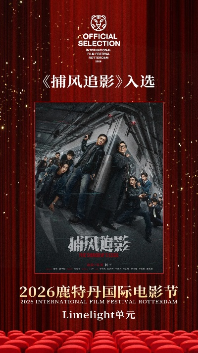 捕风追影电影完整版免费观看高清（捕风追影电影高清完整版免费观看）