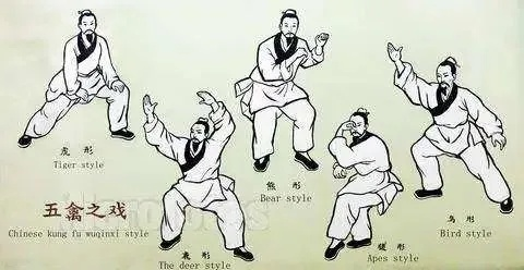 五禽戏口令完整版（五禽戏口令完整版，传承古老的健身智慧）