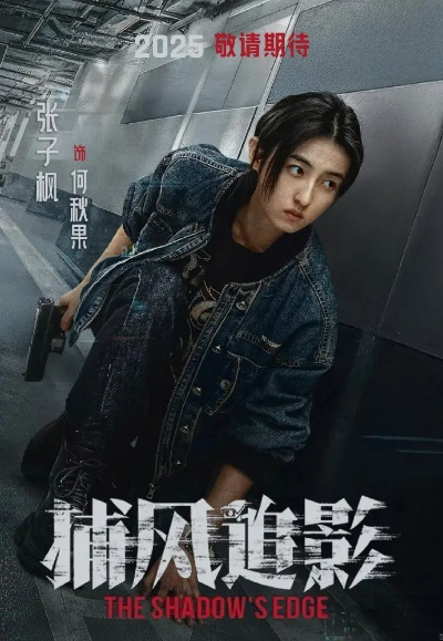 捕风捉影电影完整版免费观看（捕风捉影，一部值得观看的影视佳作免费观看完整版）