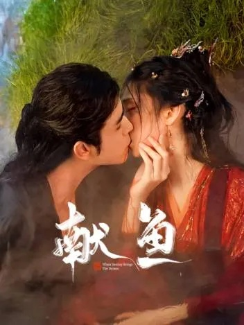 献鱼电视剧免费观看完整版（献鱼电视剧免费观看完整版，深度解析与体验分享）