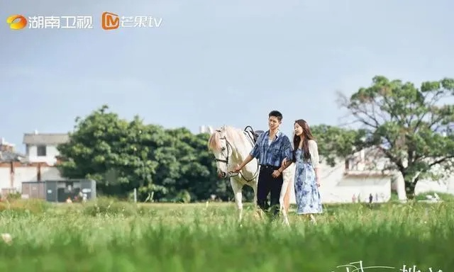 去有风的地方电视剧免费观看完整版（去有风的地方，一部值得观看的电视剧免费观看完整版）