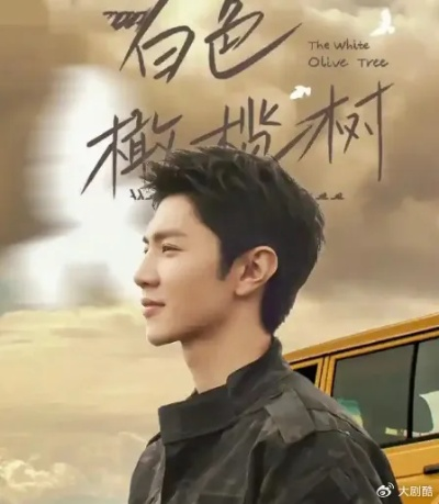 白色橄榄树电视剧完整版免费观看（白色橄榄树电视剧完整版免费观看，一段感人至深的爱情故事）