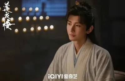 莲花楼电视剧免费观看完整版（莲花楼电视剧免费观看完整版，深度解析与体验）