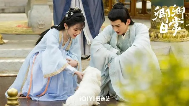 卿卿日常線上看（卿卿日常，线上生活的点滴美好）