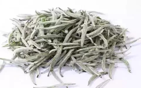 白茶的功效（白茶的神奇功效，健康守护者的秘密武器）