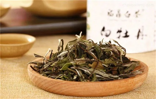 白茶功效（白茶功效，探索其独特的健康益处）