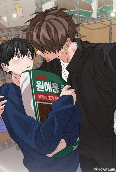 新婚夫夫特别录取 完整版 漫画（新婚夫妇的特别录取，漫画完整版揭秘）