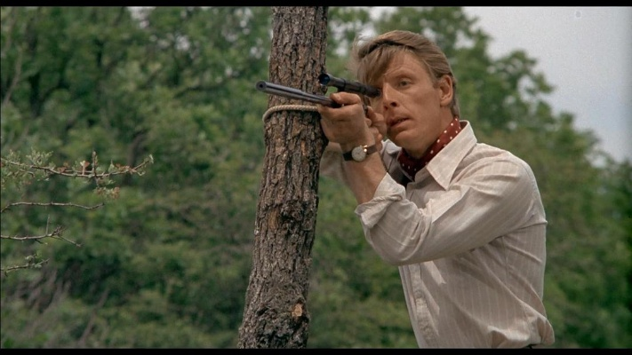 豺狼的日子 完整版（豺狼的日子，野性与生存的挑战完整版）