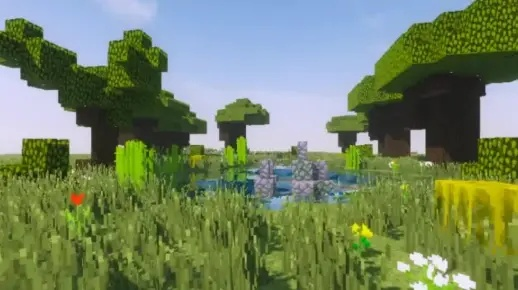 my videos（我的视频世界）