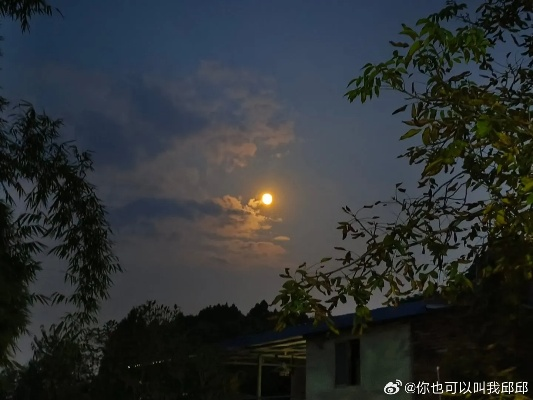 满月照乡野（70集）杨琳&马超