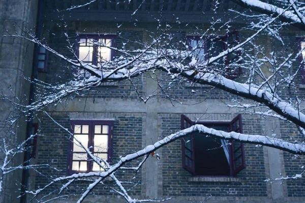 第九十九场雪落尽（51集）王子林＆郑初晨