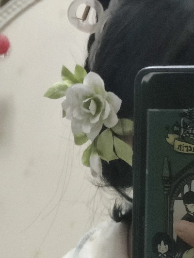 鬓边有朵栀子肥（72集）韩栋＆王梓莼