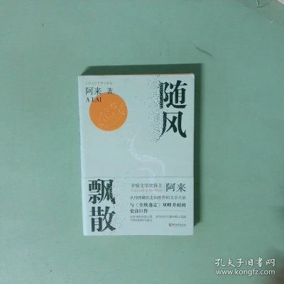 随风飘逝（54集）魏依珂＆博之