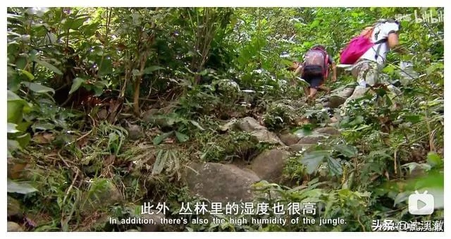 跋山涉水上学路纪录片 全集（跋山涉水上学路，一部真实而感人的纪录片全集）