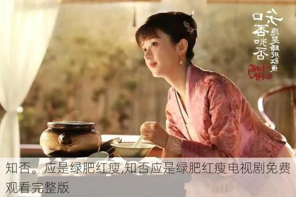 知否知否应是绿肥红瘦迅雷下载（知否知否，绿肥红瘦迅雷下载的魅力与探索）