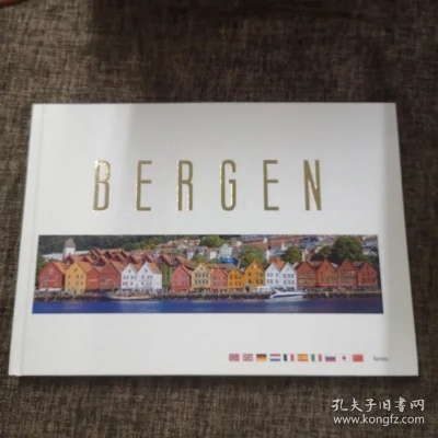 bengugu 全集（探索Bengugu全集，一部多元魅力的文化瑰宝）