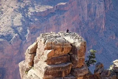 悬崖 免费观看（悬崖，壮丽景观的免费观赏之旅）