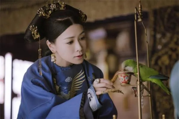 延禧攻略（延禧攻略，宫廷风云中的女性智慧与权力斗争）