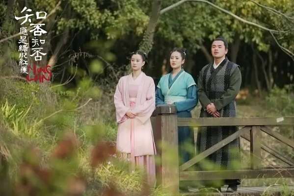 知否知否应是绿肥红瘦迅雷下载（知否知否，绿肥红瘦迅雷下载的魅力与探索）