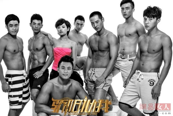 骄阳似我 全集（骄阳似我，一部热血青春的全集解读）