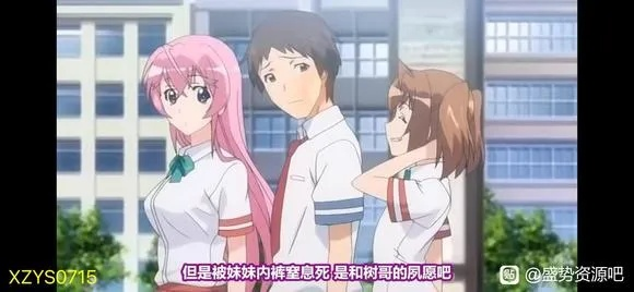 纯洁的轮舞曲 第一季 全集（纯洁的轮舞曲 第一季，青春与梦想的完美交融）