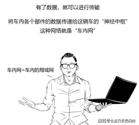 你懂的视频（你懂的视频，探索现代网络文化的新领域）