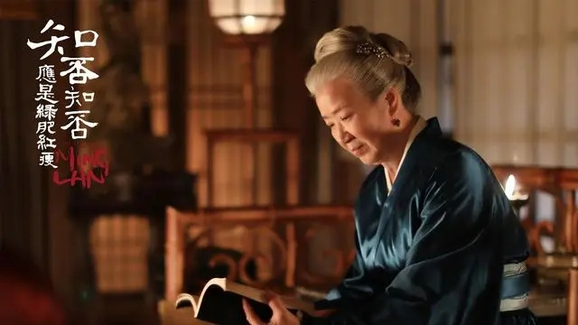 知否知否（知否知否，探索知识的边界与深度）