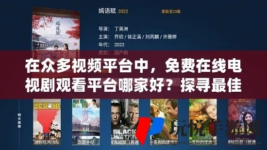 免费看剧网站（免费看剧网站的魅力与探索）