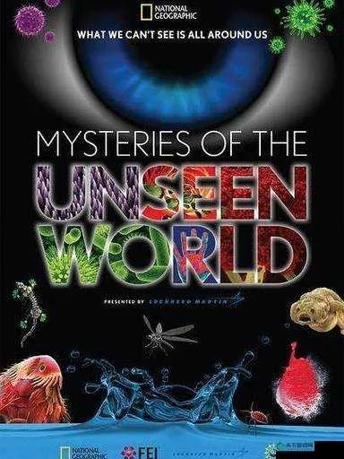 no视频 在线观看（在线观看无视频，探索文字的魅力与想象的世界）