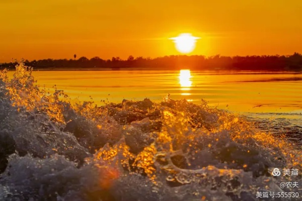 长河落日 在线观看（长河落日，一部值得在线观看的壮丽史诗）