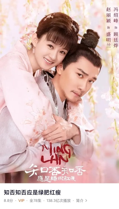 知否知否应是绿肥红瘦 在线观看（知否知否应是绿肥红瘦，在线观看的新体验）